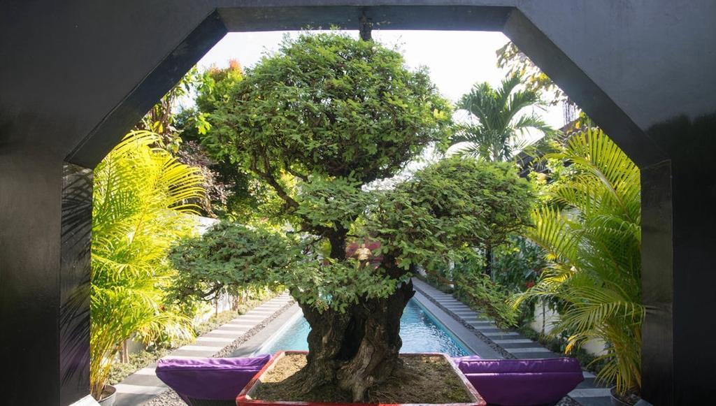 Bonsai Villas Seminyak Rom bilde